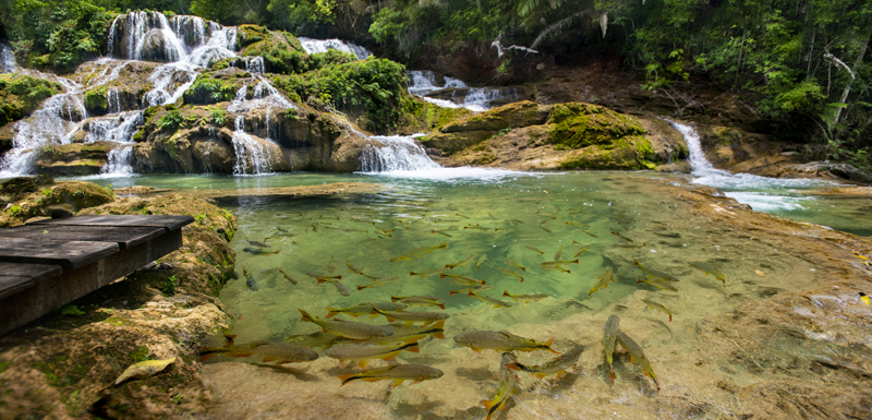 Bonito - Photo by Hudson Garcia (11)